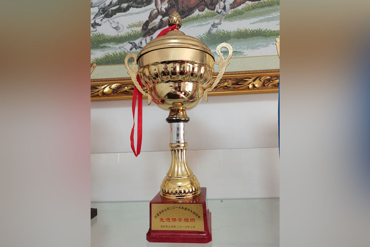 武星保安公司2016年度評(píng)為深圳市先進(jìn)保安組織